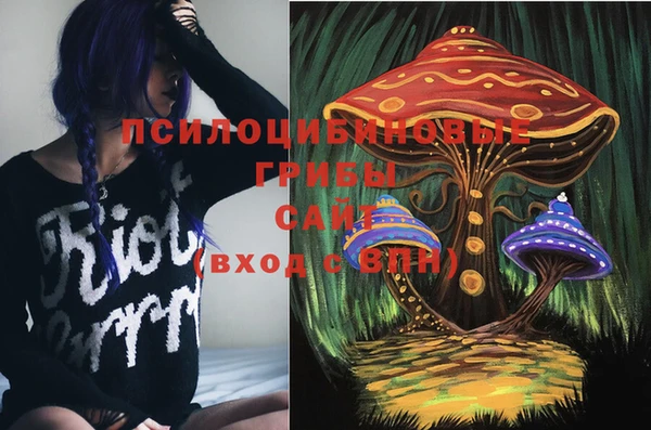 соль ск Алзамай