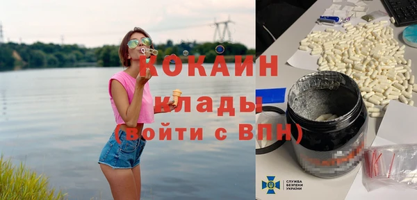 соль ск Алзамай