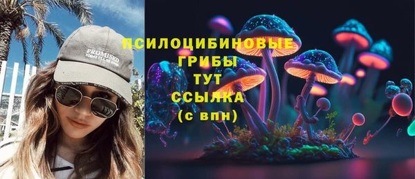 соль ск Алзамай