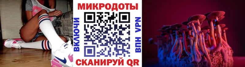 Псилоцибиновые грибы Psilocybine cubensis  ссылка на мегу вход  Олонец 